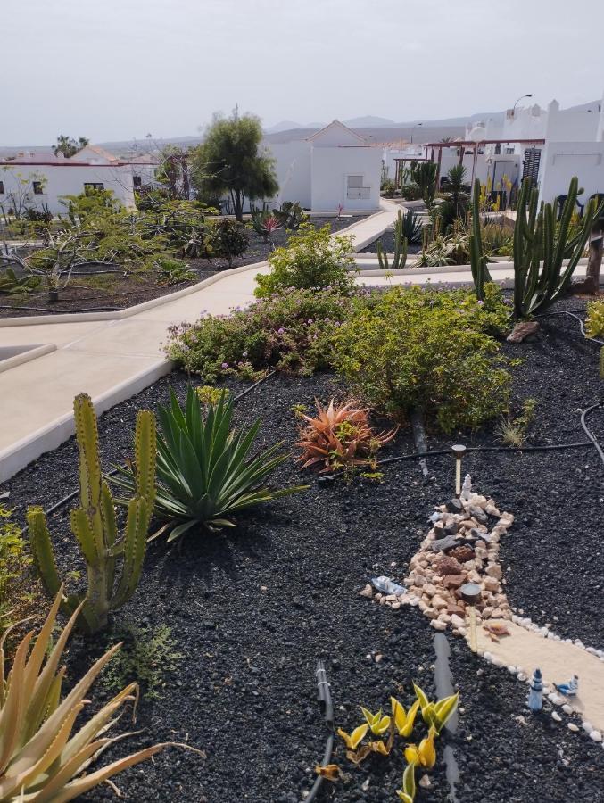 فيلا Casa Solymar Canarias 6 كاليتا ذي فوستي المظهر الخارجي الصورة