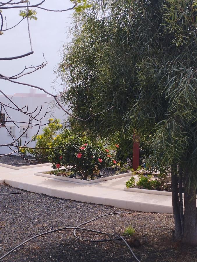 فيلا Casa Solymar Canarias 6 كاليتا ذي فوستي المظهر الخارجي الصورة